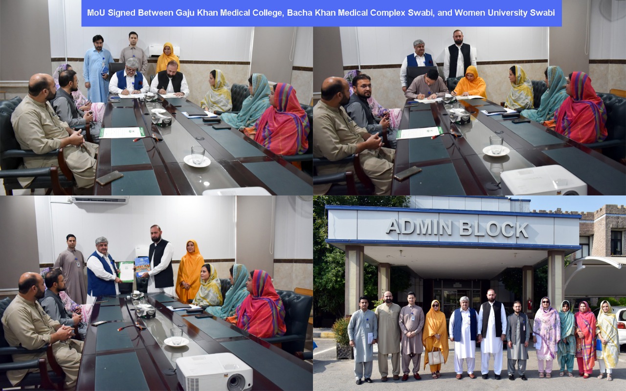 mou with gajju khan 